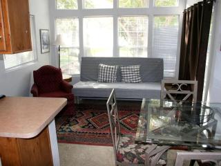 Cozy Cottage Rental for Eight with Lake Views in New Braunfels, Texas - 7