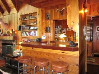 Lakeside Cozy Cabin Rental in the Mountains of Lake Arrowhead, California - 9