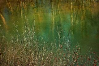 Fully Furnished Cabin Rental with Fire Pit near Cherokee National Forest - 2