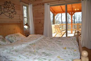 Beautifully Equipped Cabin for Luxury Getaway near Asheville, North Carolina - 6