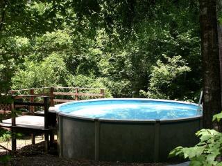 Secluded Forest Cabin Rental with Seasonal Pool near Natchez, Mississippi - 5