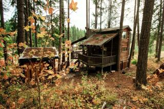 Tree House Style Cabin Nestled at the Foot of Scenic Snow-Capped Mt. Adams, Washington - 4