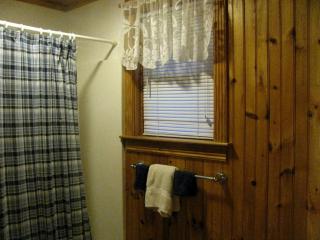 Secluded Pet-Friendly Log Cabin near Asheville, North Carolina - 3