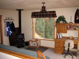 Luxury Cabin Rental with Breathtaking Views in Park County, Colorado - 2