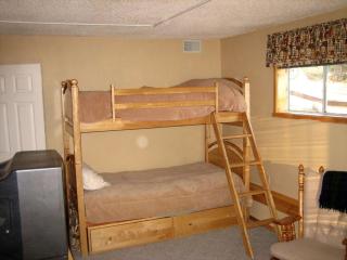 Luxury Cabin Rental with Breathtaking Views in Park County, Colorado - 1