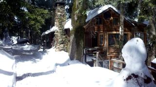 Historic Holiday Redwood Cabin in Palomar Mountain, California - 2