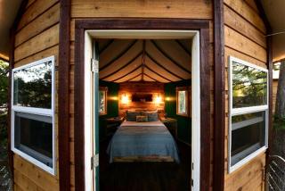 Adventures Await at this Stunning Tree House Retreat in Texas - 1