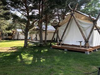 Pet-Friendly Safari Tent Glamping in Swan Valley, Idaho near Jackson Hole - 0