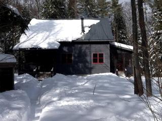Charming Cottage Rental with Antique Decor in Narrowsburg, New York - 2