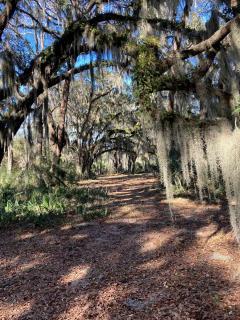 Tranquil Glamping near the Coast: Charming Rustic Cabin Rental in Midway, Georgia - 2