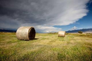 Rustic Log Cabin Rental at a Riverside Resort on the Big Hole River, Montana - 1