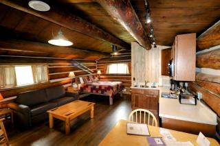 Family-Friendly Cabin Rental Hidden in Woods of North Central Colorado - 7