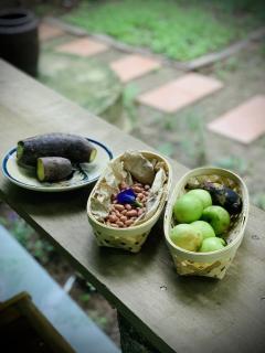 Bến Tre Homestay - 4