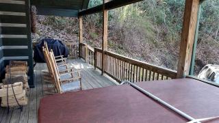 Secluded Cabin Getaway in the Mountain Town of Burnsville, North Carolina - Burnsville - 3