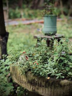 Bến Tre Homestay - 2