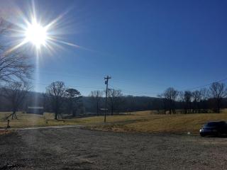 Radiant Forest Vacation Rental Haven Near Piney River, Tennessee - 4