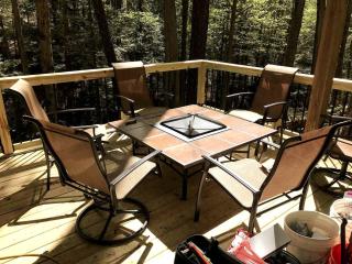 Magical Tree House Rental in the Woods near Syracuse for Glamping in New York State - 8