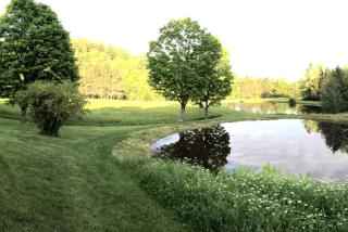 Cabin Rental Nestled on 80-Acres of Meadows Perfect for Large Groups near Green Mountains, Vermont - 7