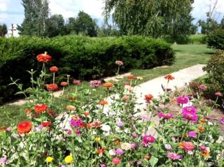 Charming Vacation Rental with Hot Tub and Fire Pit in New London, Ohio - 5