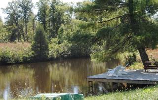 Remodeled Cabin Rental Built in 1790 near Scottsville, Virginia - 4