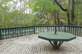 Georgia's Family-Friendly Octagon Cabin Getaway in Claxton - 1