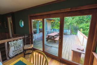 Secluded Cabin Rental for a Large Group Getaway on the Shenandoah River near Luray, Virginia - 1