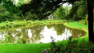 Hilltop Cottage Rental Overlooking Creek near Albany in Upstate New York - 6