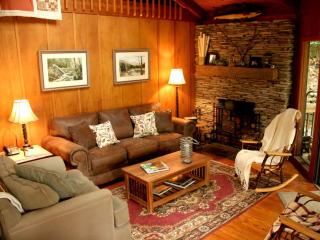 Inviting Tree House Cabin near Mount Mitchell in North Carolina - 9