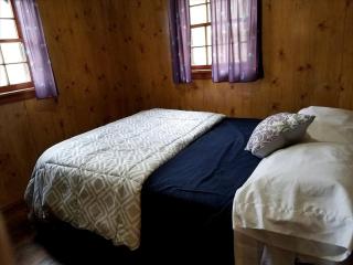 Delightful Waterfront Cabin with Views of Pine Lake near Wellston, Michigan - 6
