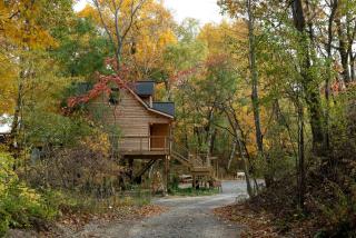 Glorious Tree House with Fire Pit and Hot-tub in Penn Yan, New York - 5