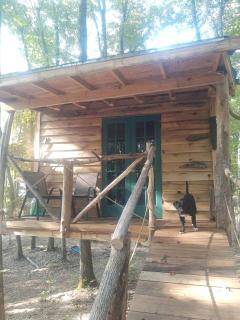 Dreamy Treehouse Cabin Oasis Near Piney River, Tennessee - 4