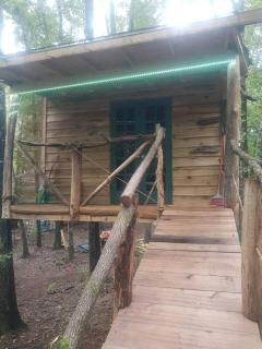 Dreamy Treehouse Cabin Oasis Near Piney River, Tennessee - 1