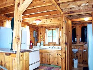 Rustic Cabin Rental on a Wildlife Sanctuary in Manistee, Michigan - Manistee - 6