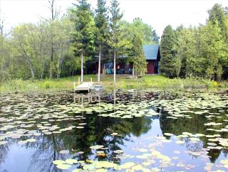 Rustic Cabin Rental on a Wildlife Sanctuary in Manistee, Michigan - 5