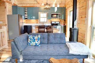 Luxury Log Cabin with Mountain and Forest Views near Asheville, North Carolina - 9