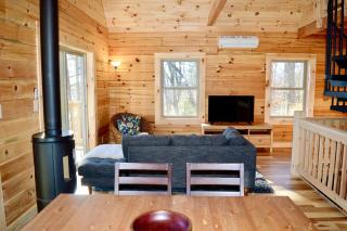 Luxury Log Cabin with Mountain and Forest Views near Asheville, North Carolina - 7
