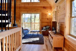 Luxury Log Cabin with Mountain and Forest Views near Asheville, North Carolina - 8