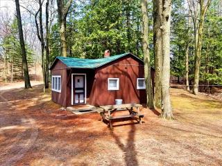 Cozy Lakeside Cabin in Manistee National Forest, Michigan - 0
