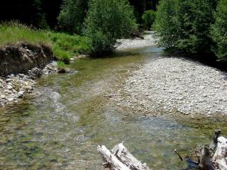 Creekside Cabin Rental in Mountains near Bitterroot Valley, Montana - 4