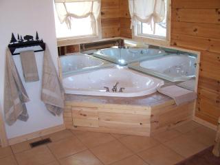 Luxury Vacation Rental with a Hot Tub for Rent in Clyde, North Carolina - 4