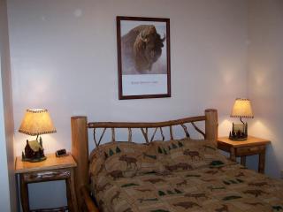 Luxury Vction Rentl with Hot Tub for Rent in Clyde, North Crolin - Clyde - 2