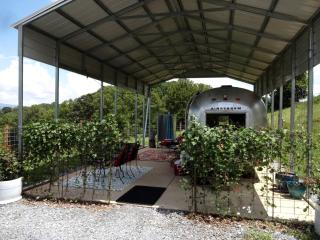 Vintage Airstream for a Unique Getaway near Watauga Lake in Elizabethton, Tennessee - 0