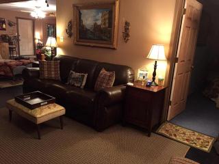 Secluded Log Cabin Apartment Nestled in Trees near Lake Lure, North Carolina - 2