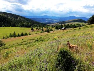 Secluded Cottage Rental on 305-Acre Ranch in Stevens County, Washington - 2