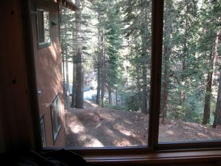 Exceptional Riverside Cabin Rental in the Trees near Pinecrest Lake, California - 5