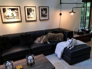 Charming Redwood Vacation Rental for Four in San Geronimo, California -  - 5