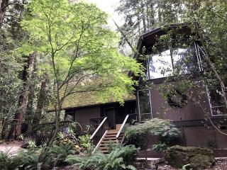 Charming Redwood Vacation Rental for Four in San Geronimo, California -  - 4