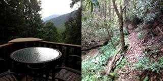 Peacefully Secluded Cottage Rental on Nature Preserve near Asheville, North Carolina - 1
