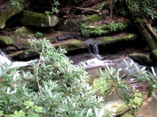 Peacefully Secluded Cottage Rental on Nature Preserve near Asheville, North Carolina - 2