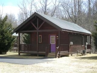 Blissful Riverside Cabin Escape Near New River, Virginia - 0